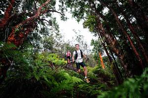 BIB: 
                            <button type="button" onclick="openModal(26202800)" class="btn btn-primary btn-sm float-right btn-popup" data-toggle="modal" data-target=".modal-high-quality">
                        <i class="fas fa-shopping-cart"></i> Add to Cart
                    </button>
                                            <button type="button" onclick="isThisMe(26202800, true)" class="btn btn-success btn-sm float-right btn-popup btn-isme hidden" data-toggle="tooltip" data-placement="bottom" title="นี่คือรูปของคุณใช่ไหม คลิกที่นี่เพื่อเอาเข้าอัลบั้ม">
                        <i class="fas fa-plus"></i> Add to album
                    </button>
                    <button type="button" onclick="isThisMe(26202800, false)" class="btn btn-warning btn-sm float-right btn-popup btn-isnotme hidden">
                        <i class="fas fa-ban"></i> Remove from album
                    </button>